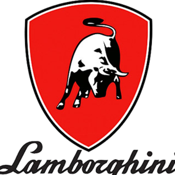Запчасти на котлы Lamborghini (Ламборгини)